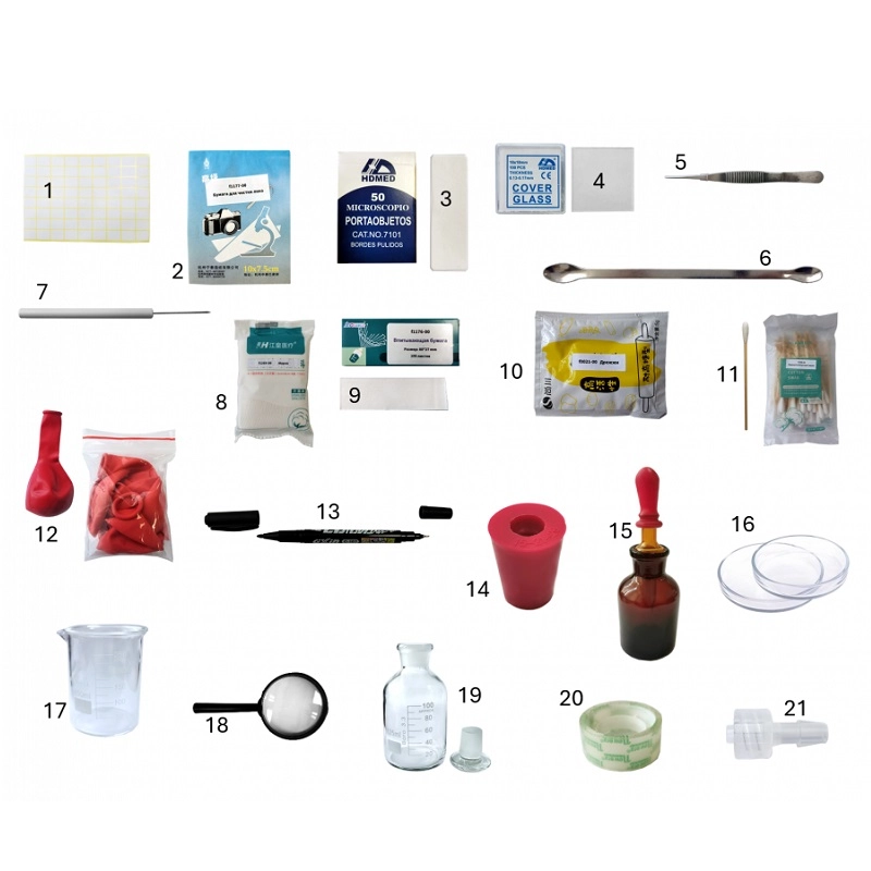 Набор для биолаборатории «Клетка и микроорганизмы»