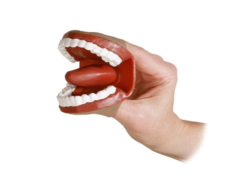 Муляж ротовой полости