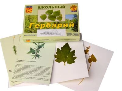 Гербарный набор «Систематика растений» — 10 листов