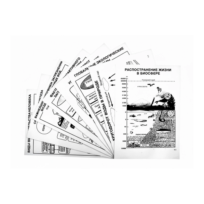 Таблицы по экологии: Биосфера и влияние человека A4