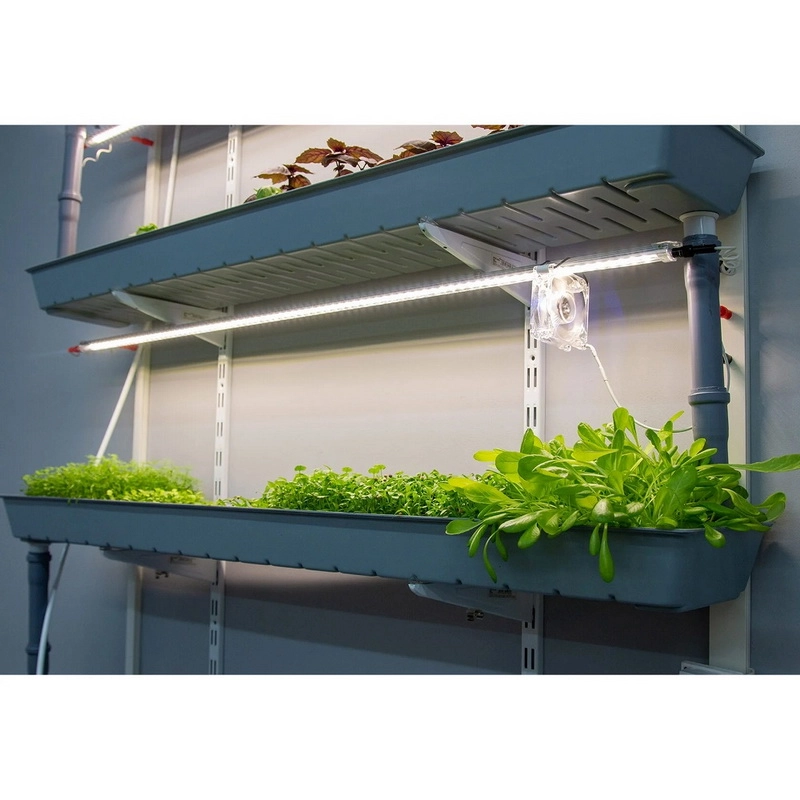 Настенная гидропонная установка СОУ-003 для класса