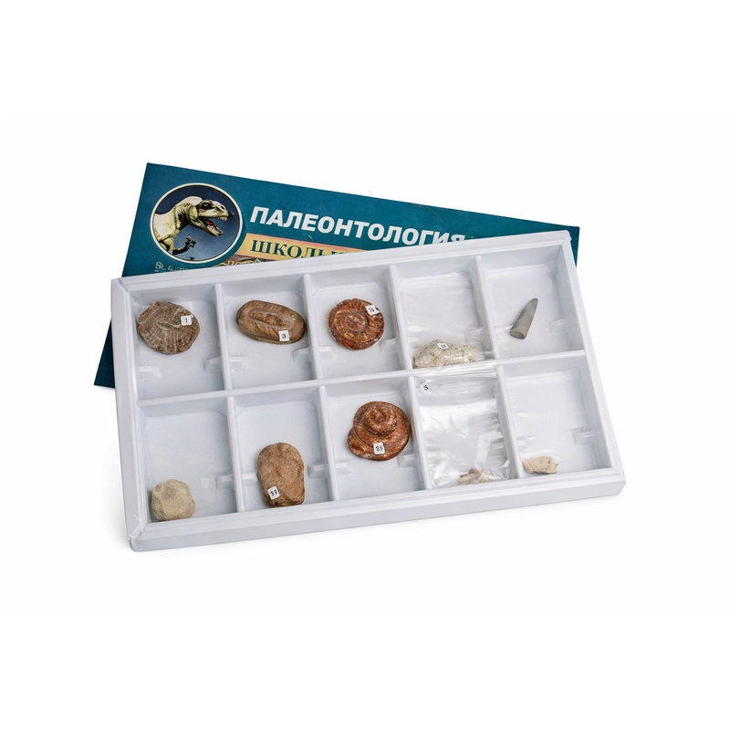 Коллекция образцов "Палеонтологическая" с ламинированным вкладышем