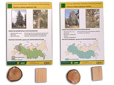 Демонстрационный набор: древесные растения ЭДГ-7744