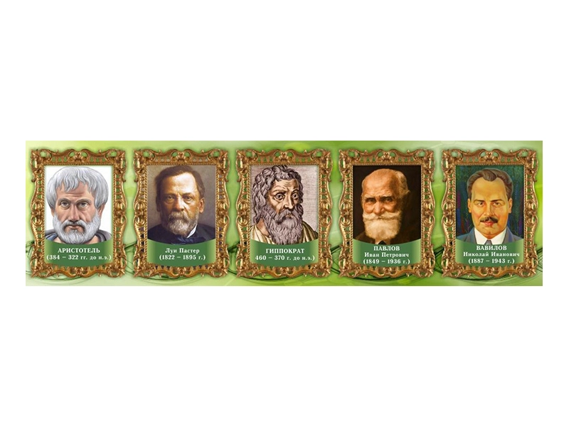 Настенный стенд-лента «Выдающиеся ученые: биологи» — часть 2