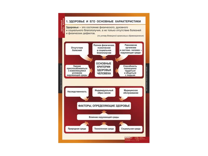 Набор плакатов по ОБЖ «Здоровый образ жизни» — 8 листов