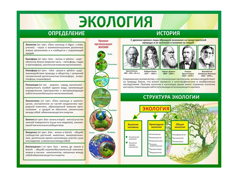 Информационный стенд «Экология», 130×100 см