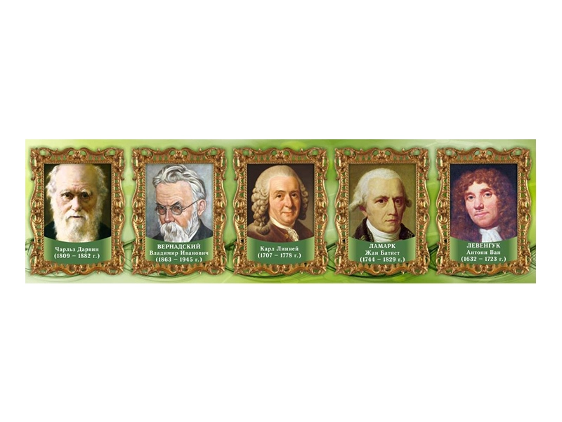 Стенд-лента часть 1: выдающиеся ученые-биологи