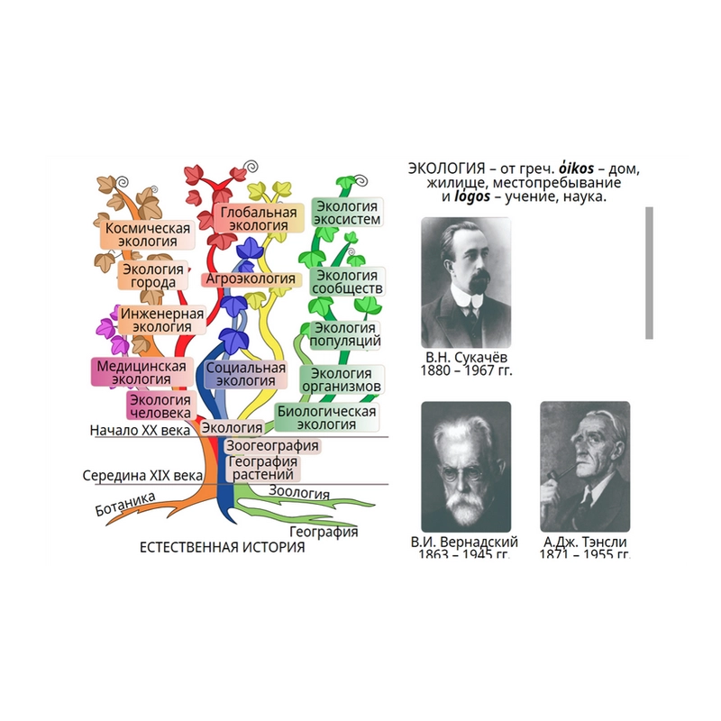 ЭО-ресурсы «Кабинет Биологии» — электронная лицензия