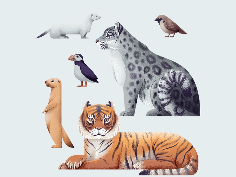 Настенная карта России — 250x100 см