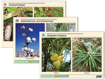 Сельскохозяйственные растения — фотогербарий, 18 листов