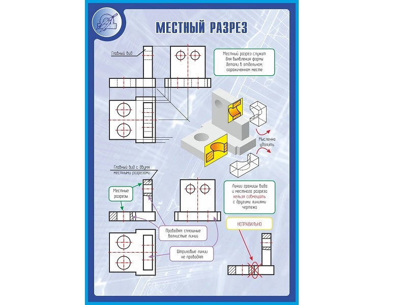 Местный разрез — стенд 100×70 см