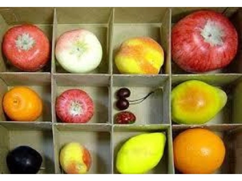 Муляжи для рисования (13 предметов)