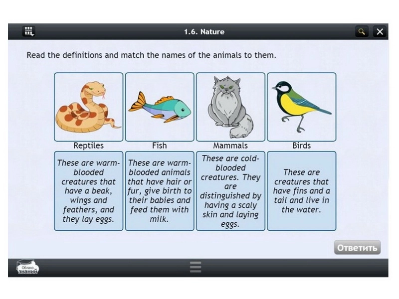 Электронный курс иностранного языка для 11 класса
