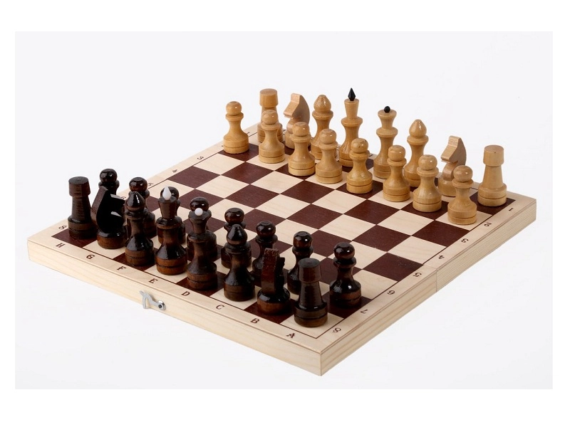 Шахматы турнирные