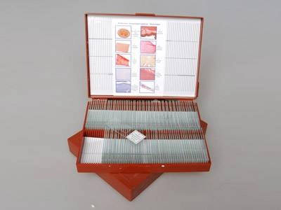 Микропрепараты "Анатомия" — учебный набор 110 шт.