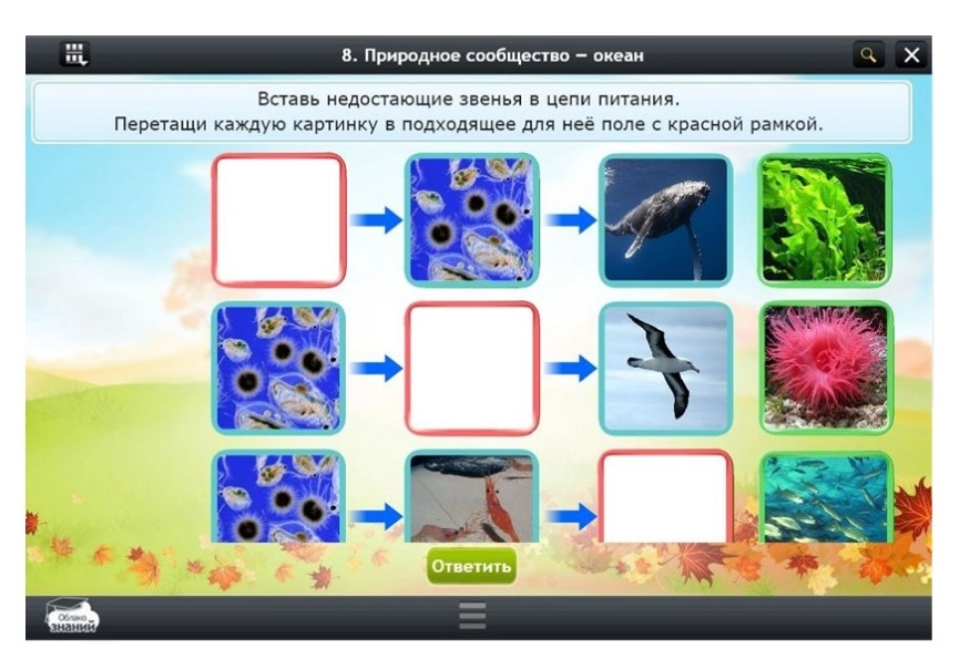 Цифровой курс «Окружающий мир», 3 класс — 153 модуля
