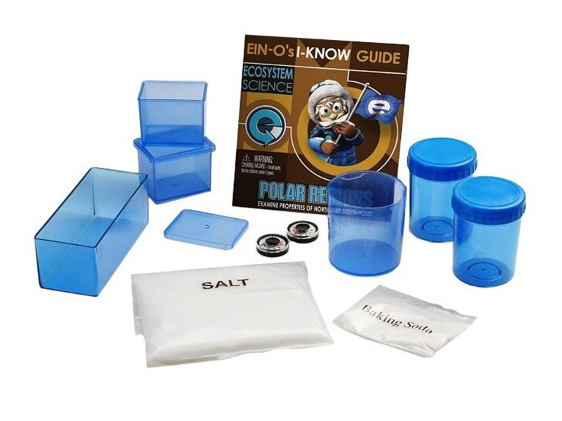 Профессор Эйн: Полярная область — образовательный набор