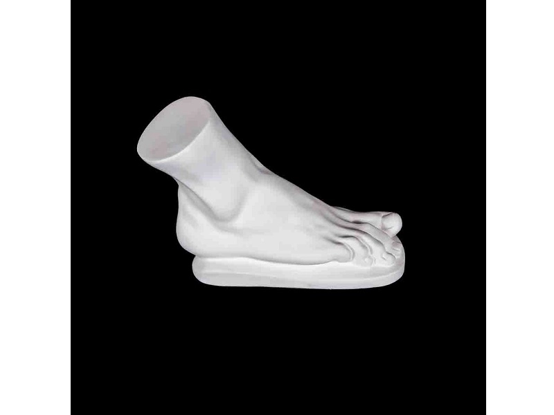 Гипсовая модель «Стопа Геракла»