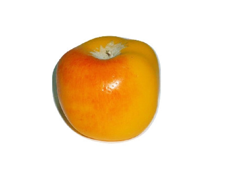Муляж яблоко «Славянка» для уроков рисунка