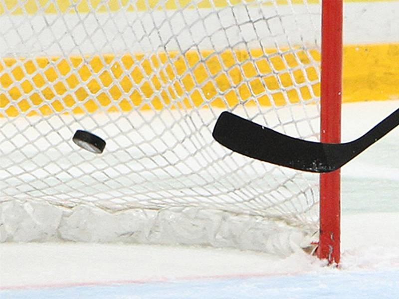 Комплект хоккейных сеток — 2 шт. (2×4,5 м)