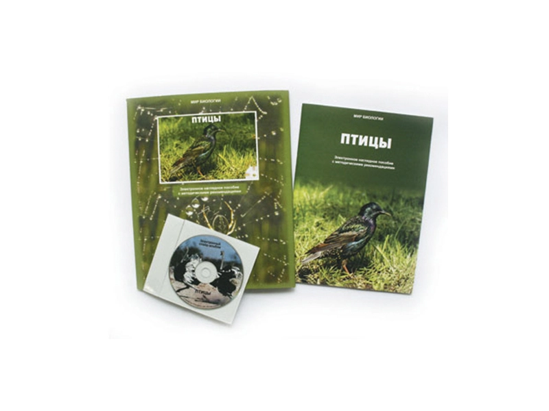 Пособие «Птицы» с методичкой