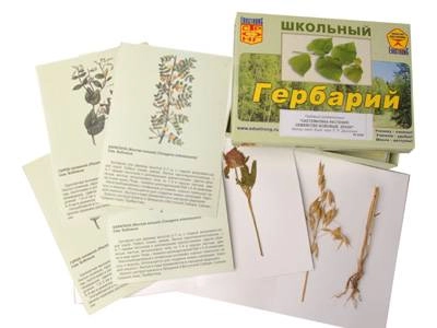 Раздаточный гербарий «Систематика растений»: Бобовые и злаковые