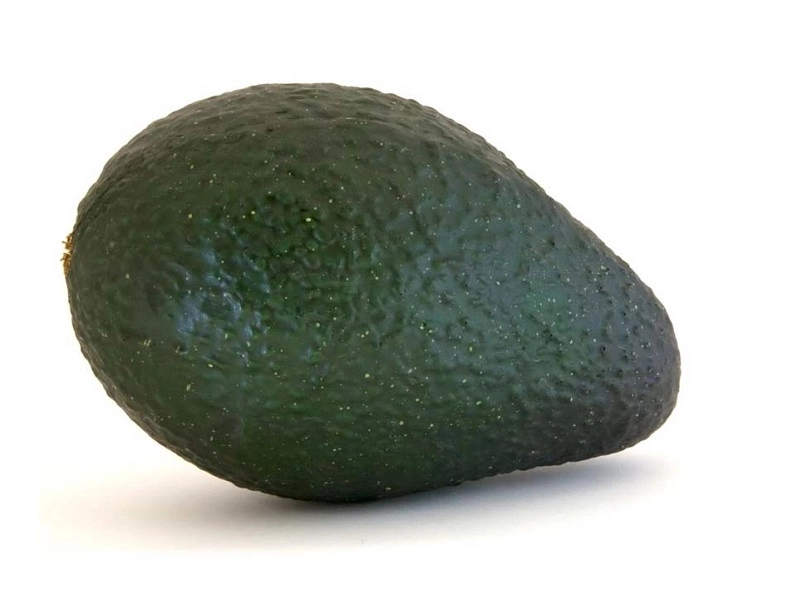Муляж Авокадо (натуральный размер)