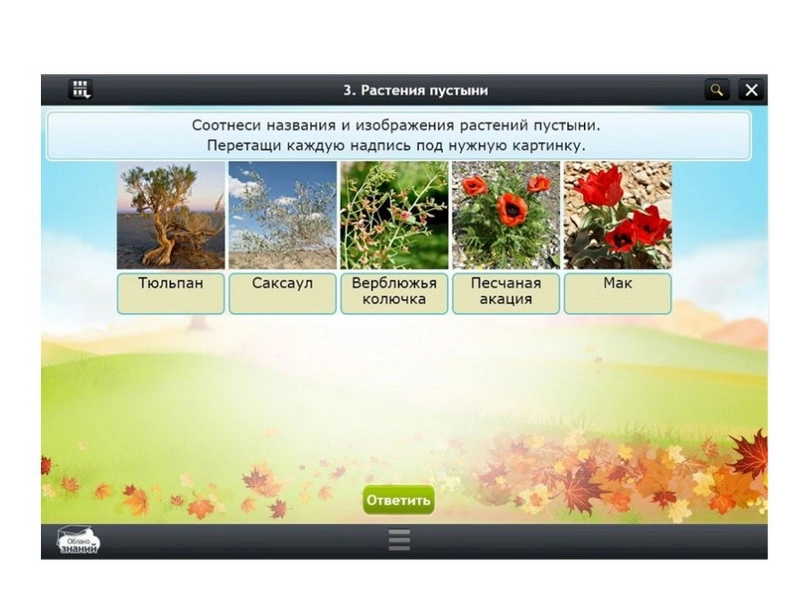 Цифровой курс «Окружающий мир», 3 класс — 153 модуля