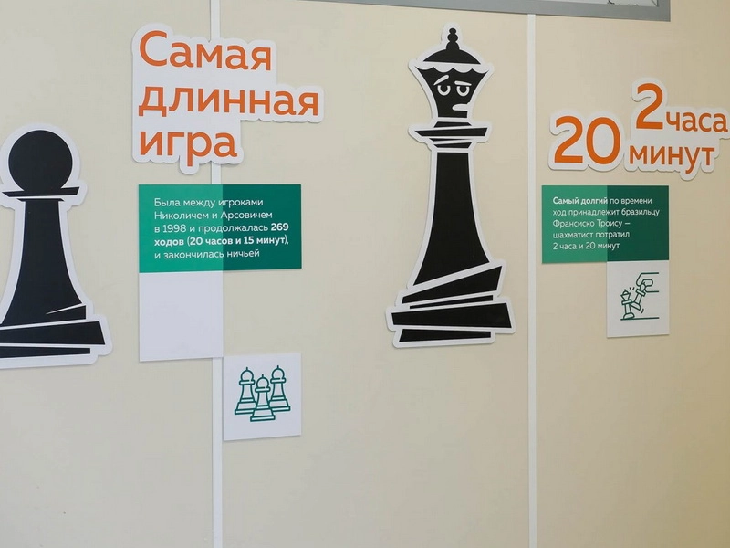 Готовое решение Шах и мат!