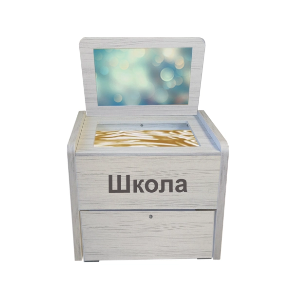 Сундучок дефектолога «Антошка» для школы