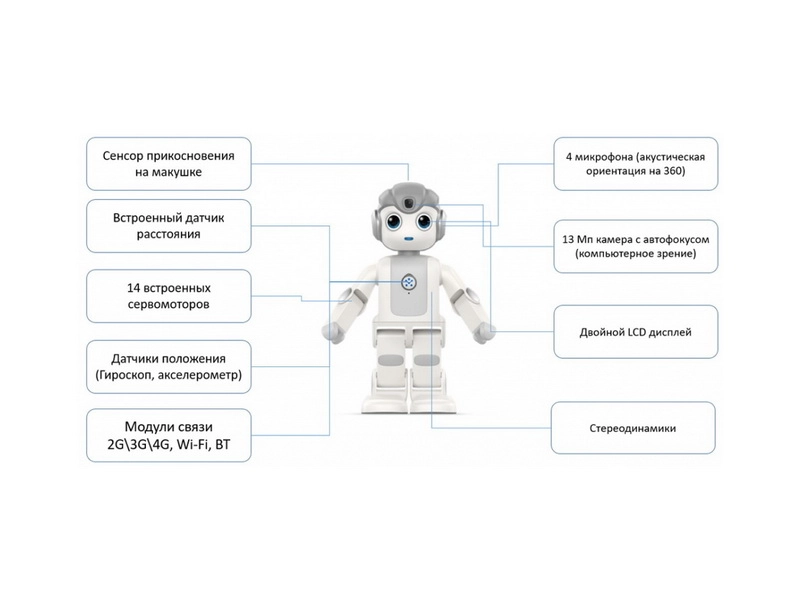 Alpha MINI — учебный гуманоид 15+