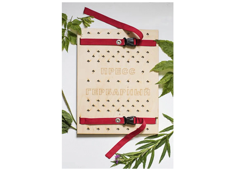 Пресс для гербария ЭДГ-15400 34×44 см