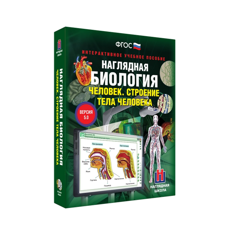 Электронное пособие «Строение тела человека» (8–9 кл.)