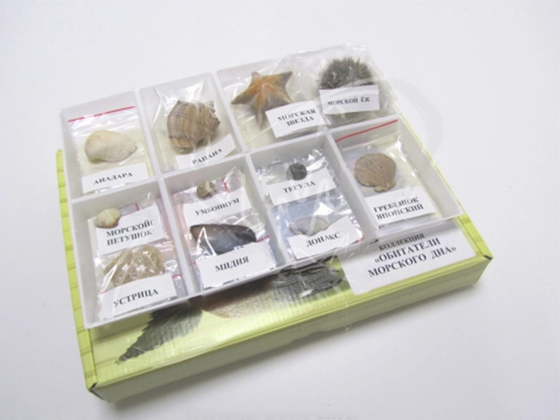 Коллекция "Обитатели морского дна"
