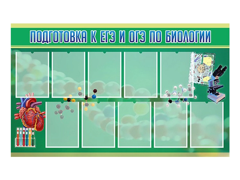 Информационный стенд по биологии для ЕГЭ и ОГЭ, 150 х 90 см