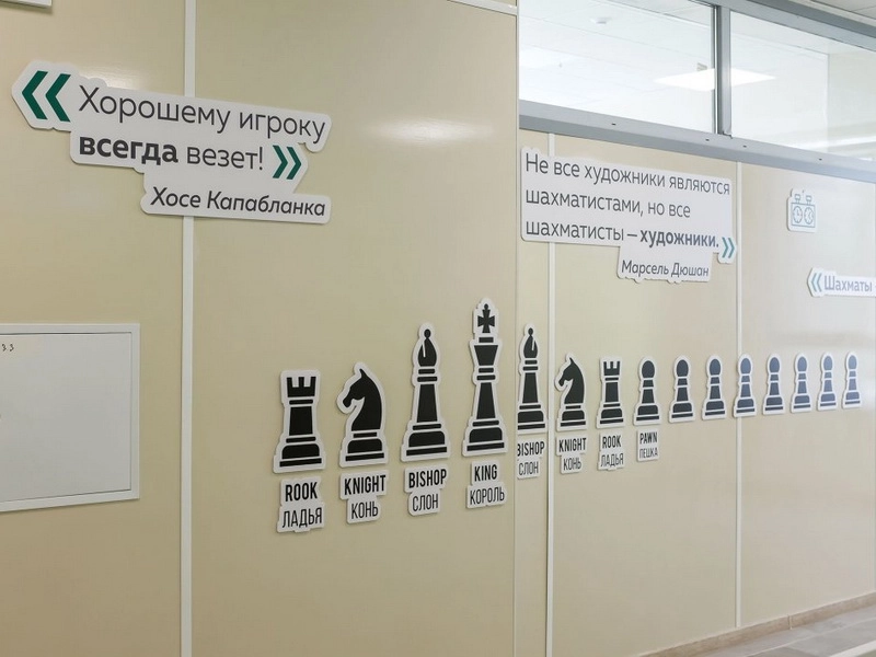 Готовое решение Шах и мат!