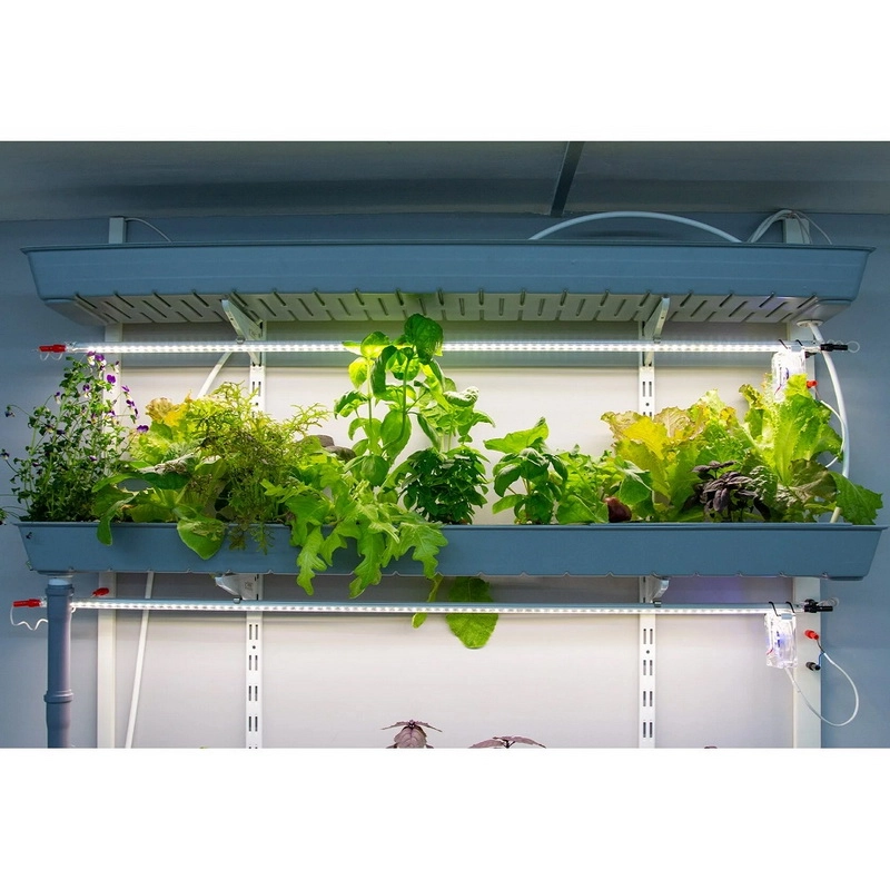 Настенная гидропонная установка СОУ-003 для класса