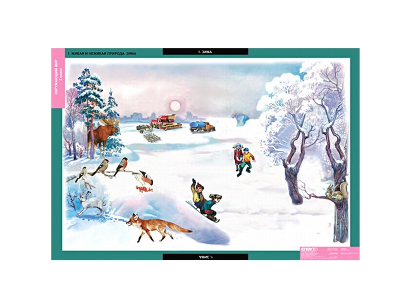 Комплект учебных таблиц Окружающий мир — 68 х 98 см