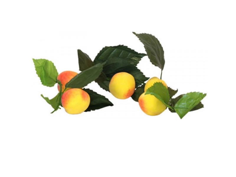 Ветка муляжей «Абрикосы» — натуральная окраска