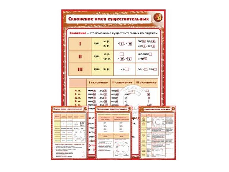 Стенды по русскому: «Морфология и Орфография» — 29 плакатов