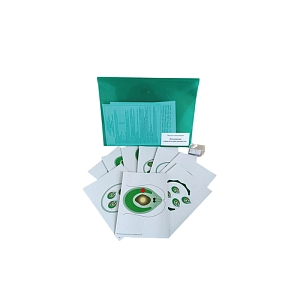 Модель-аппликация размножения одноклеточной водоросли, магнитная