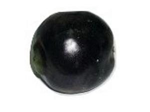 Муляж «Редька» — реалистичная модель