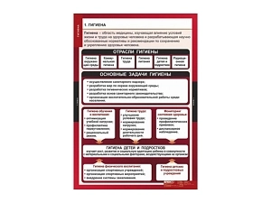 Таблицы «Гигиена», 8 плакатов 68×98 см