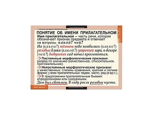 Наглядные таблицы: Имя прилагательное, 68х98 см
