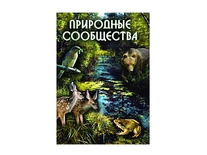 Учебный DVD "Природные сообщества"