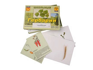 Гербарий «Культурные растения» — 30 видов
