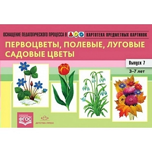 Карточки-демонстрации «Луговые и садовые цветы»