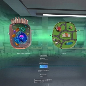 VR-курс «Цитология» для 5–11 классов