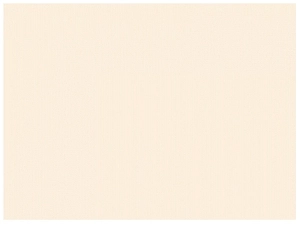 Молочный бумажный фон 2,7×11 м в рулоне