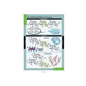 Учебный альбом "Начала химии" — 18 листов